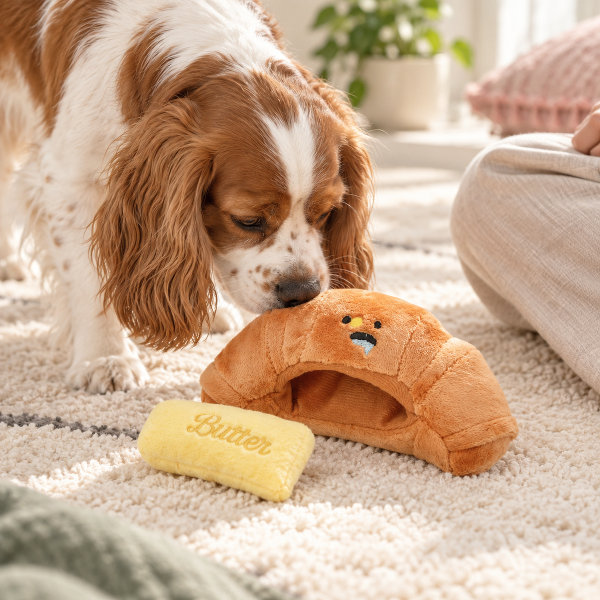 Dog investigating the croissant plush toy.
